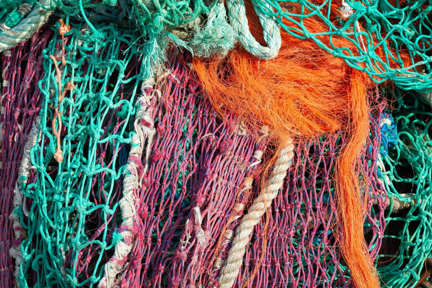 Borabora Swimwear | Ley REP: Innovación textil para un Futuro Sustentable – Diario Cóndores del Baker